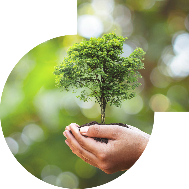 關懷人類、文化、環境與社會